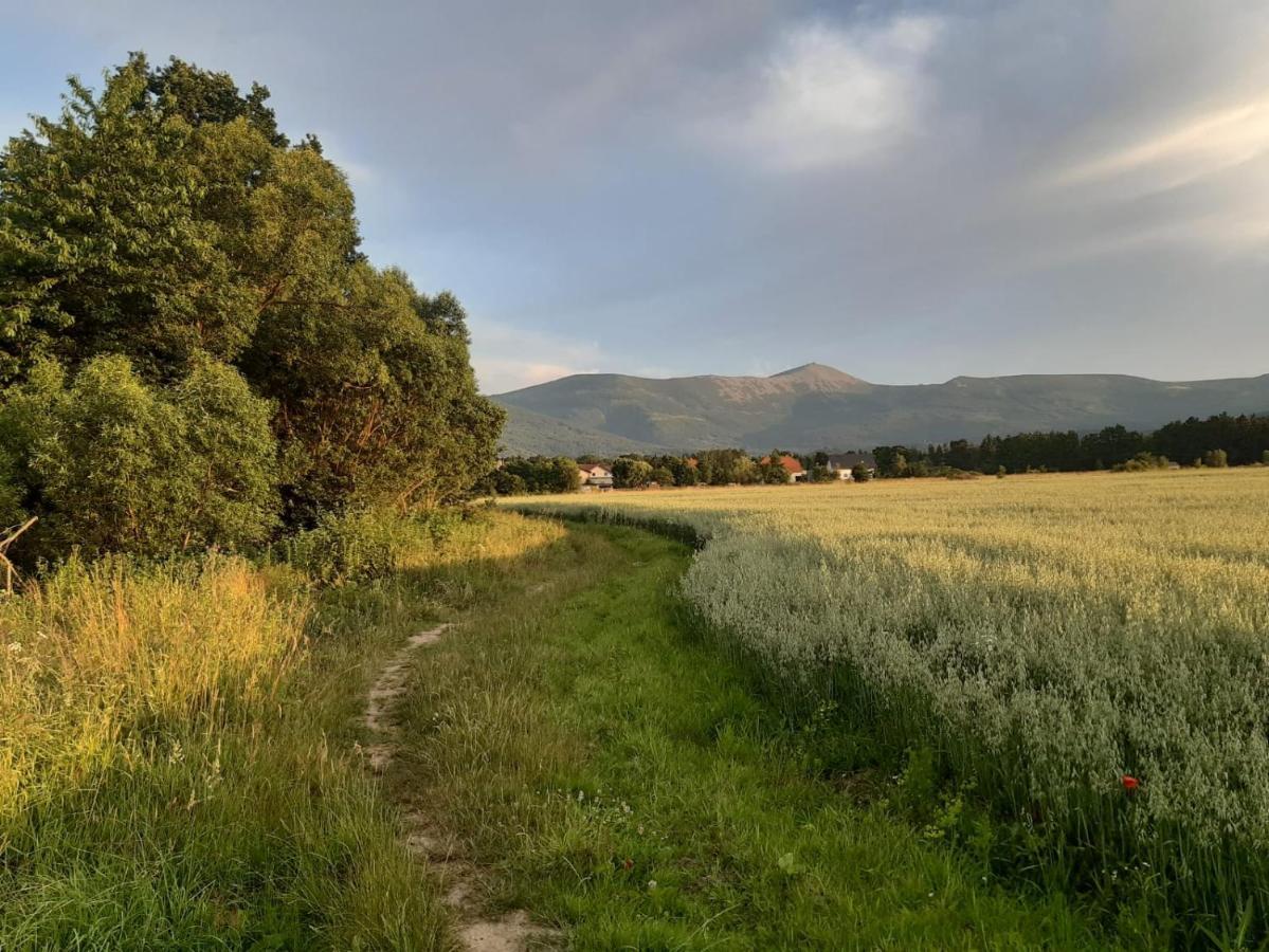 Willa Kolorowa Chata 6 Km Od Karpacza ميسواكوفيتسه المظهر الخارجي الصورة