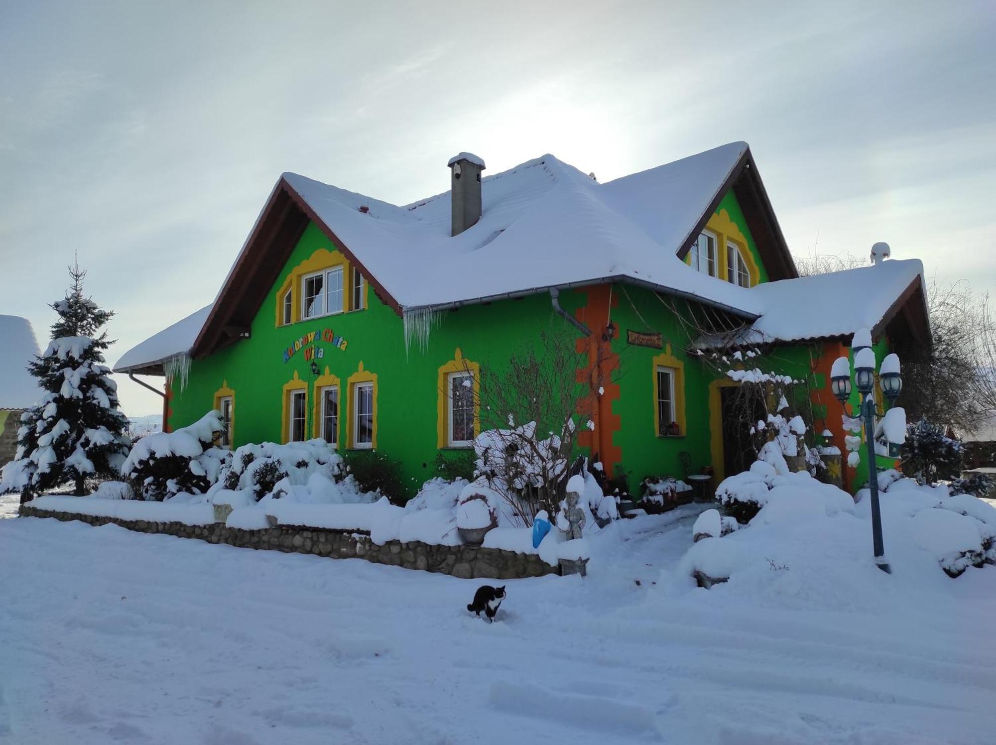 Willa Kolorowa Chata 6 Km Od Karpacza ميسواكوفيتسه المظهر الخارجي الصورة